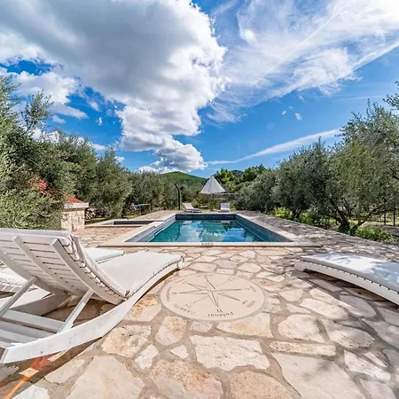 House Ivan With Heated Pool Дом отдыха Potirna